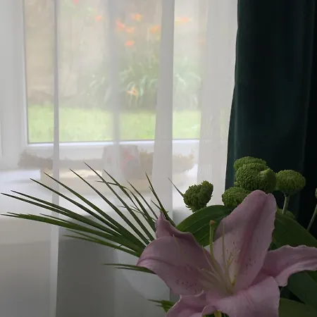 Apartman Petra La Poarta Schei Bv 3*