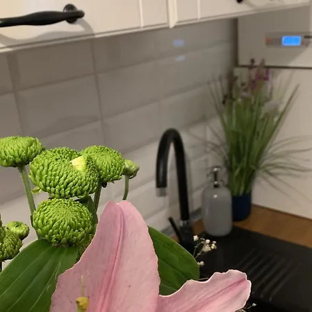 Petra La Poarta Schei Bv 公寓