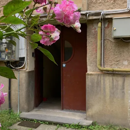 Petra La Poarta Schei Bv 3*