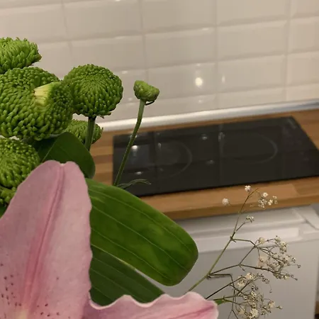 Petra La Poarta Schei Bv Apartman Brassó