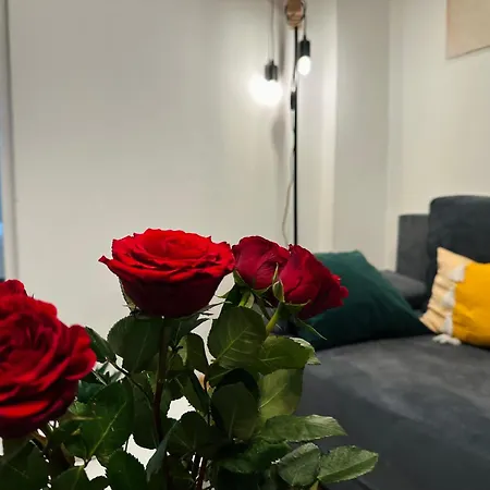 Petra La Poarta Schei Bv 3* 布拉索夫