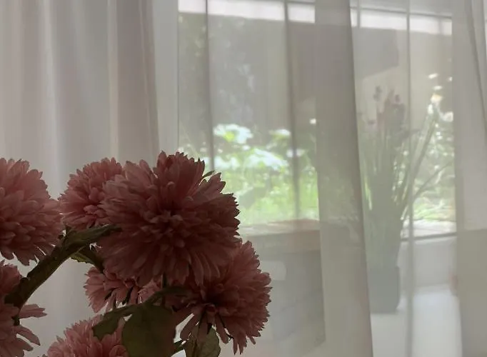 Petra La Poarta Schei Bv 3*