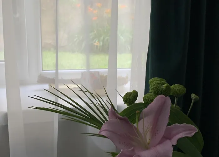 公寓 Petra La Poarta Schei Bv 3*