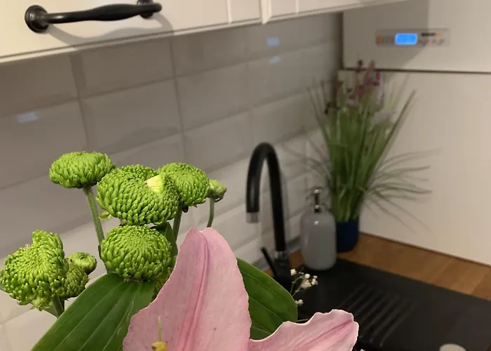 Petra La Poarta Schei Bv Apartment