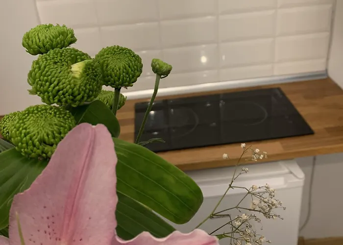 Petra La Poarta Schei Bv 公寓 布拉索夫