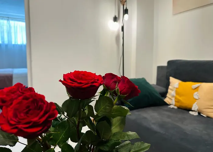 Petra La Poarta Schei Bv 3* Brasov